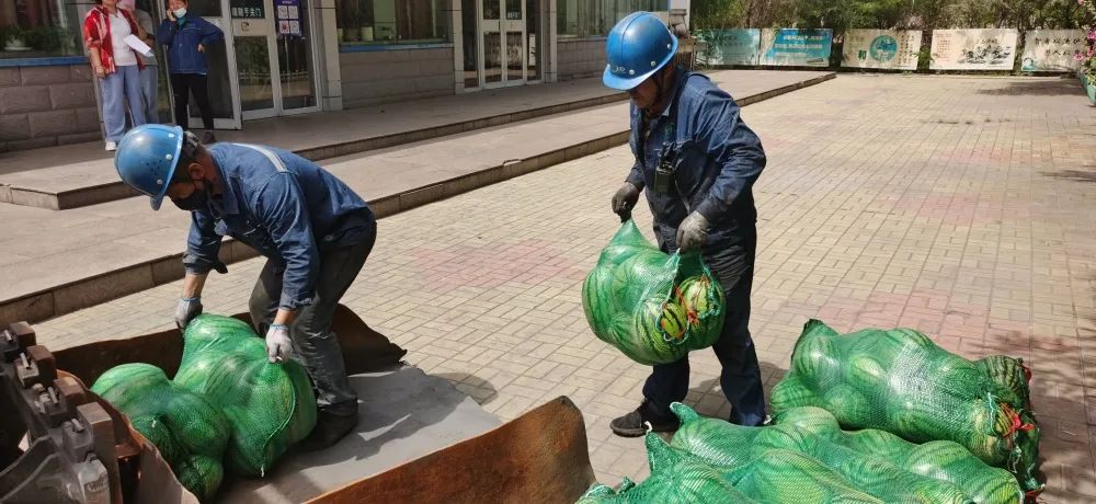 乐竞体育-乐竞体育·(中国)官方网站|西北碳化硅|绿碳化硅|黑碳化硅|碳化硅微粉|碳化硅颗粒|炼钢用碳化硅